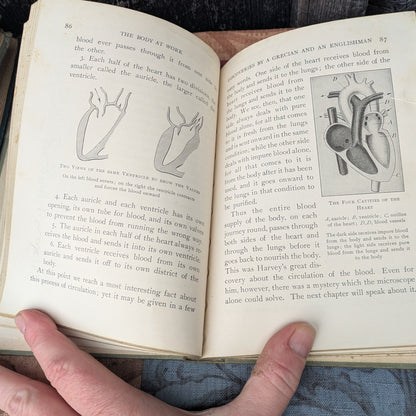 Set of 3 Antique Biology and Physiology Textbooks