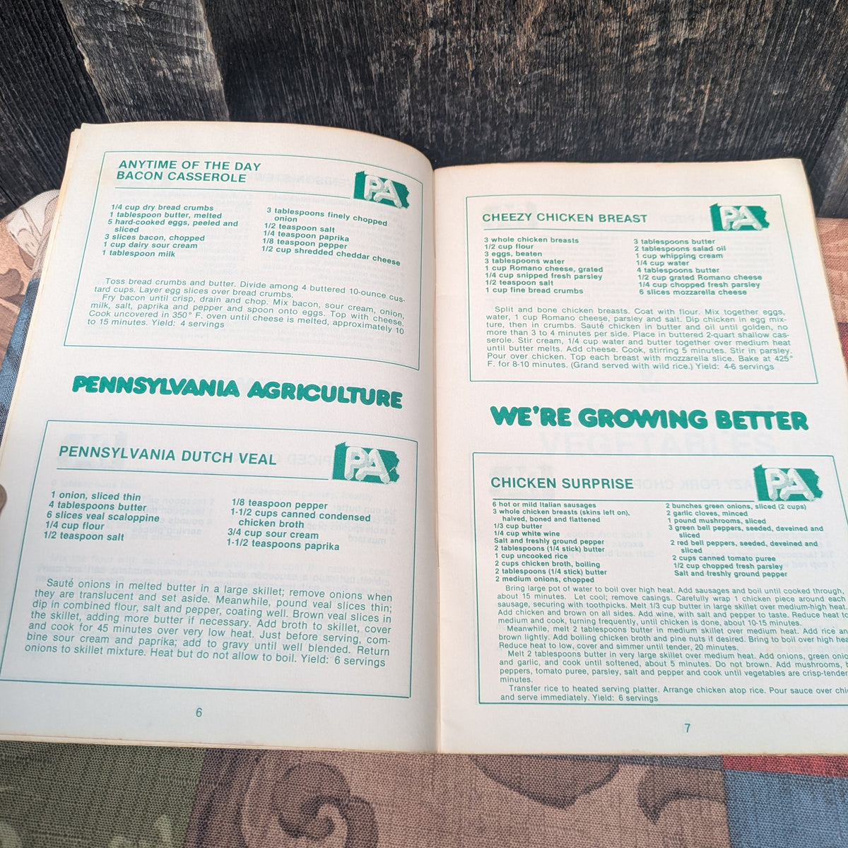 Set of 5 Vintage Pennsylvania Cookbooks