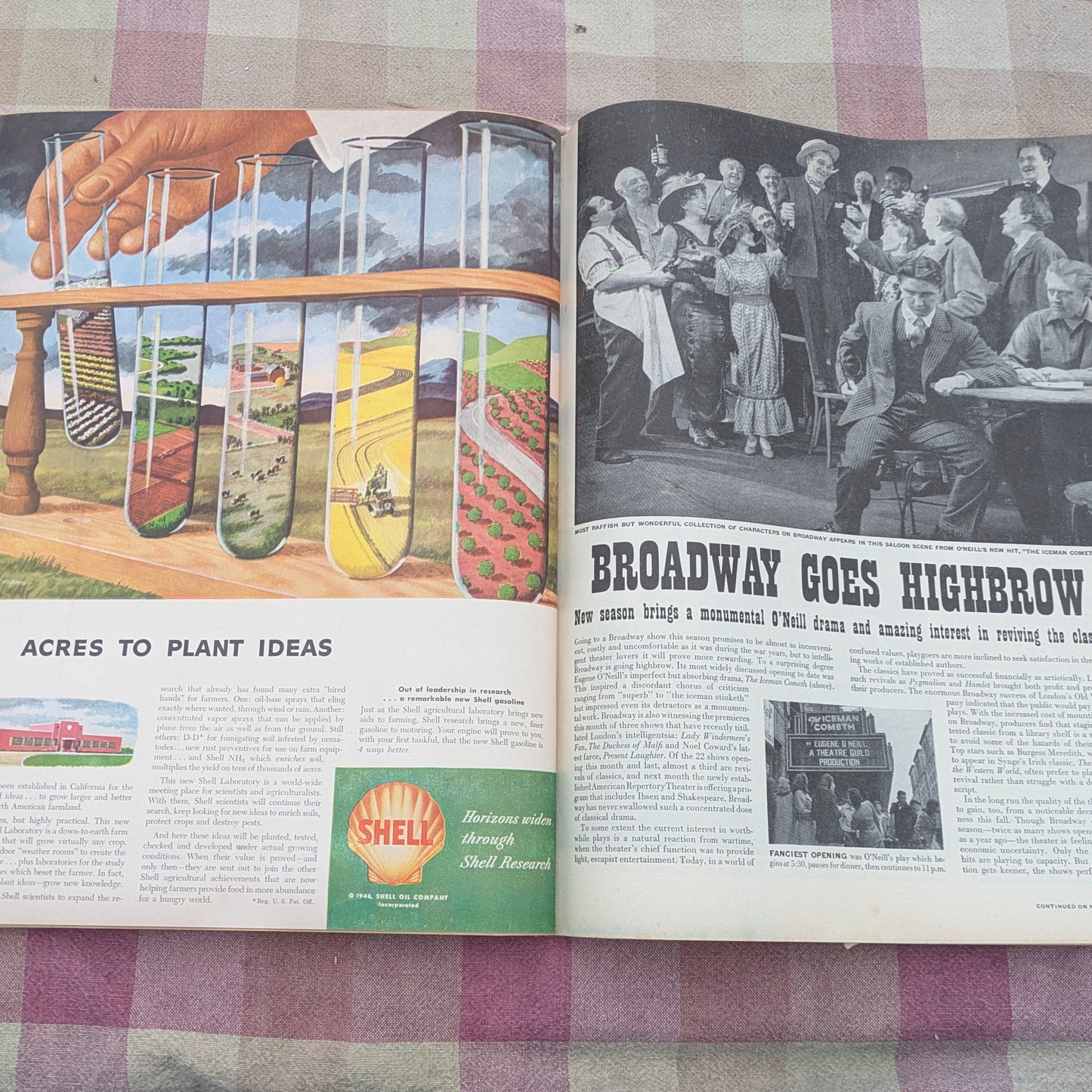 12 Life Magazines October - December 1946