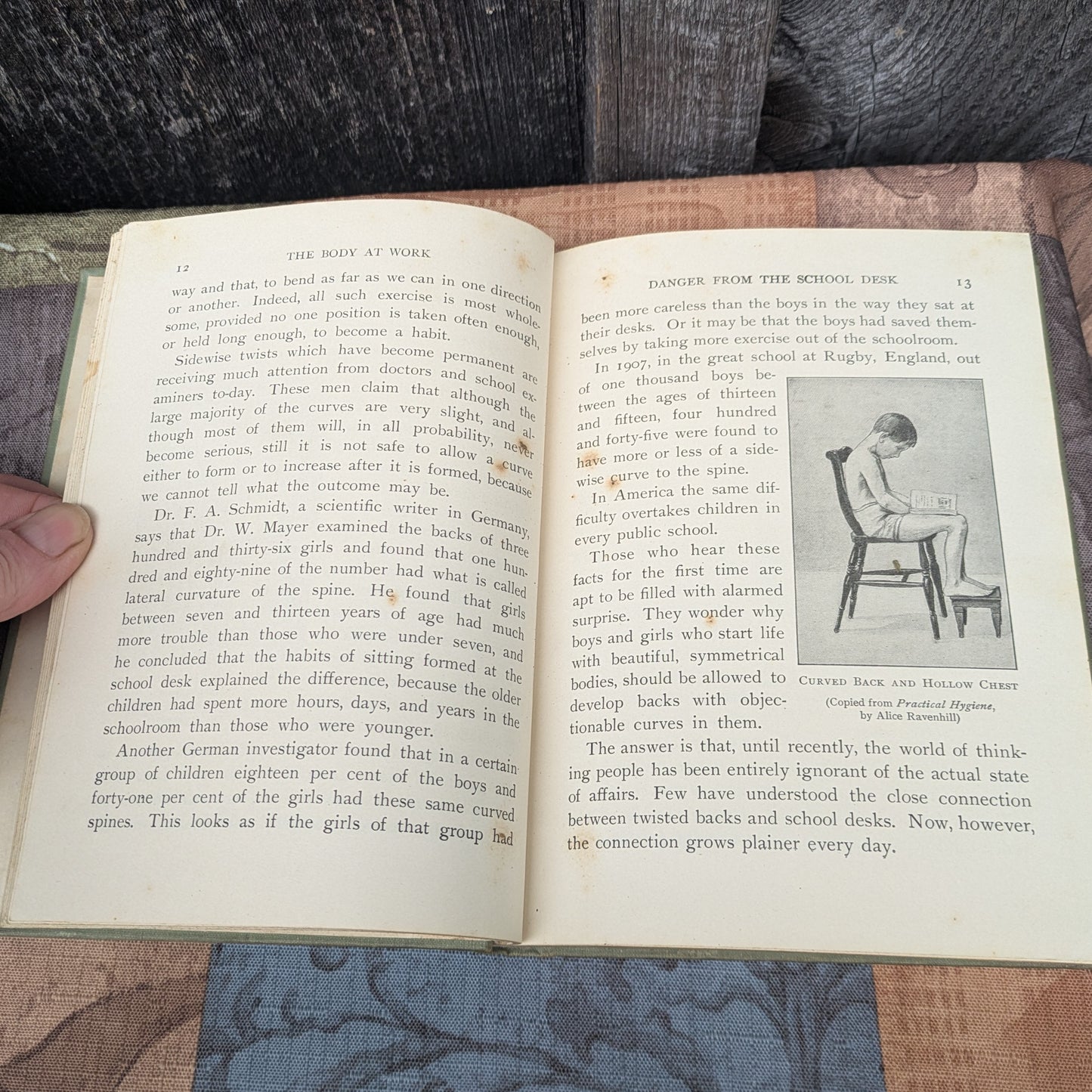 Set of 3 Antique Biology and Physiology Textbooks