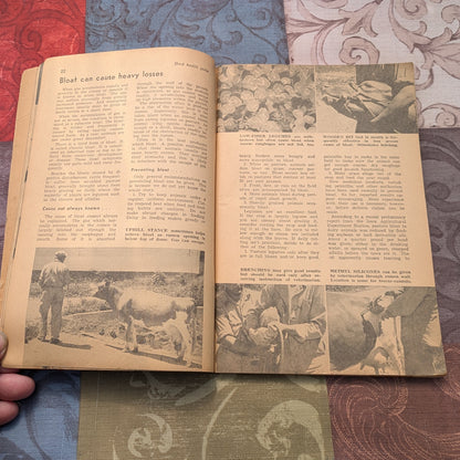 Vintage Hoard's Dairyman Herd Health Guides