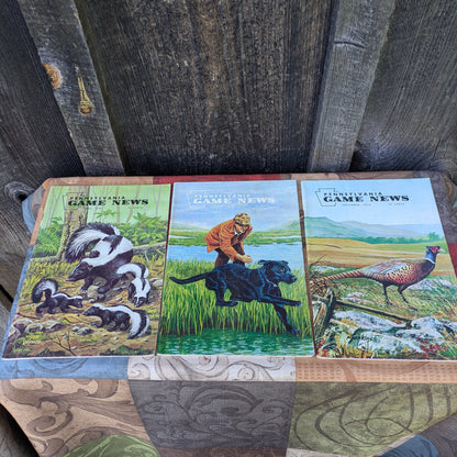 Set of 9 Vintage 1970 Game News Magazines