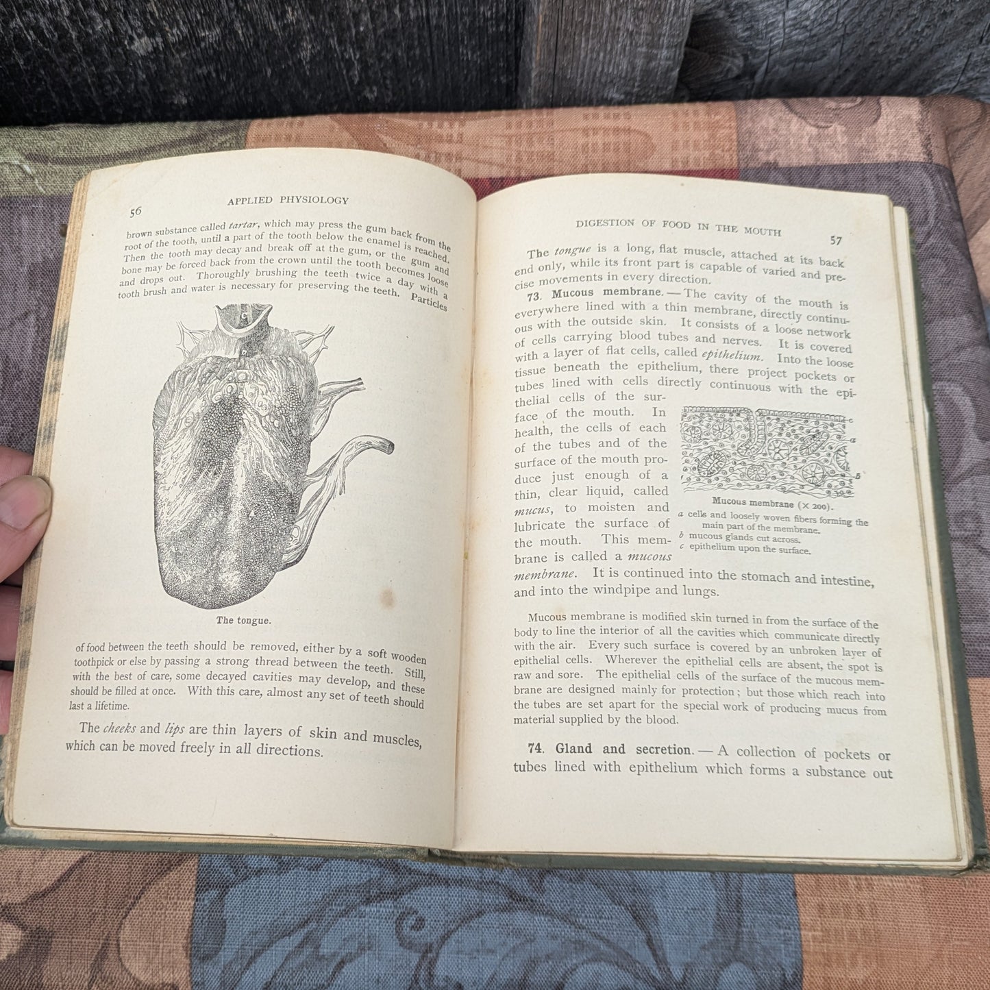 Set of 3 Antique Biology and Physiology Textbooks