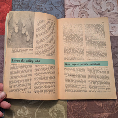 Vintage Hoard's Dairyman Herd Health Guides