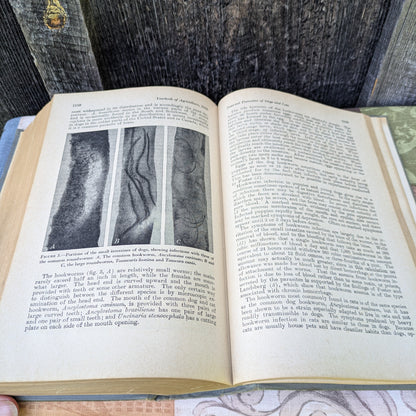 Vintage USDA Yearbook of Agriculture 1942 Keeping Livestock Healthy