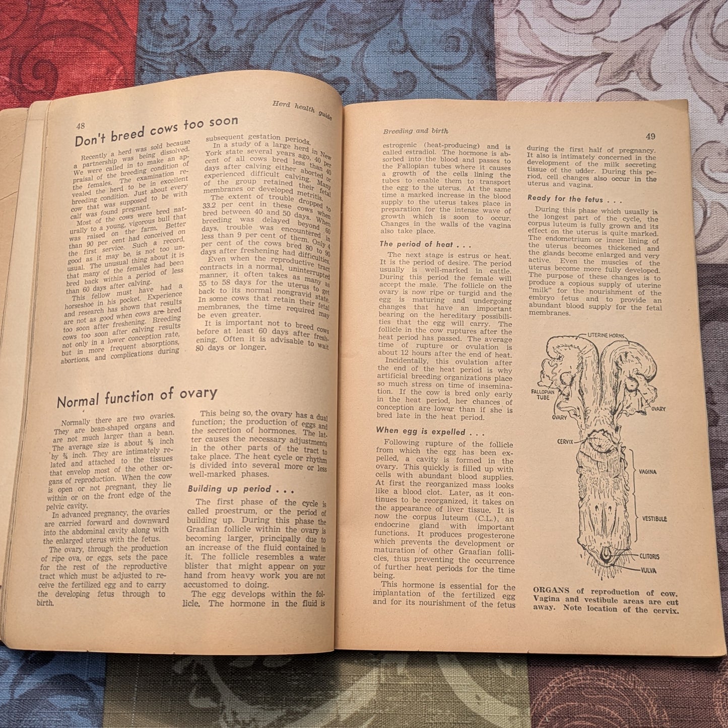 Vintage Hoard's Dairyman Herd Health Guides