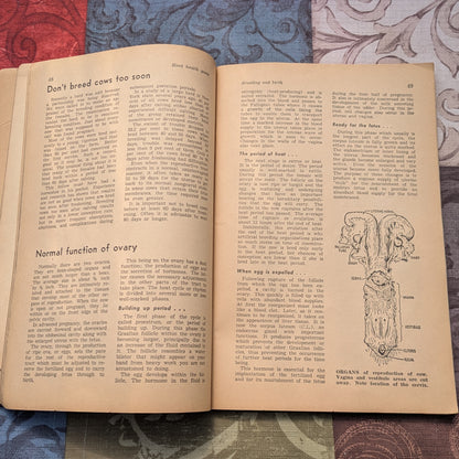 Vintage Hoard's Dairyman Herd Health Guides