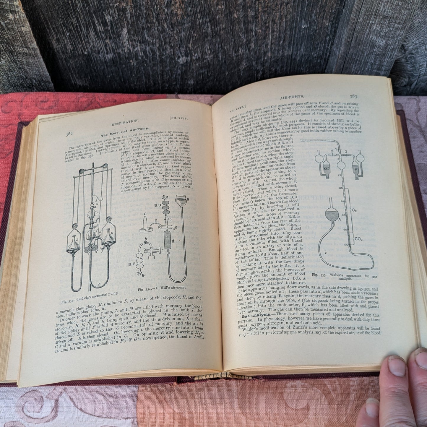 Kirkes' Handbook of Physiology by W. D. Halluburton, 1902 edition