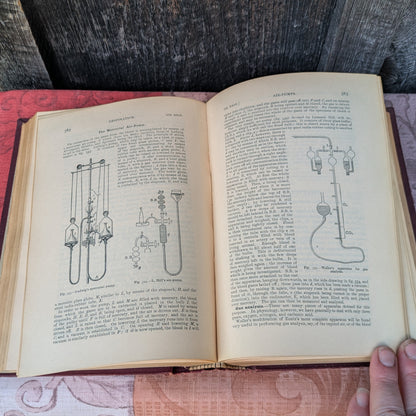 Kirkes' Handbook of Physiology by W. D. Halluburton, 1902 edition