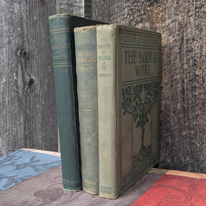 Set of 3 Antique Biology and Physiology Textbooks