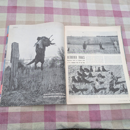 12 Life Magazines October - December 1946