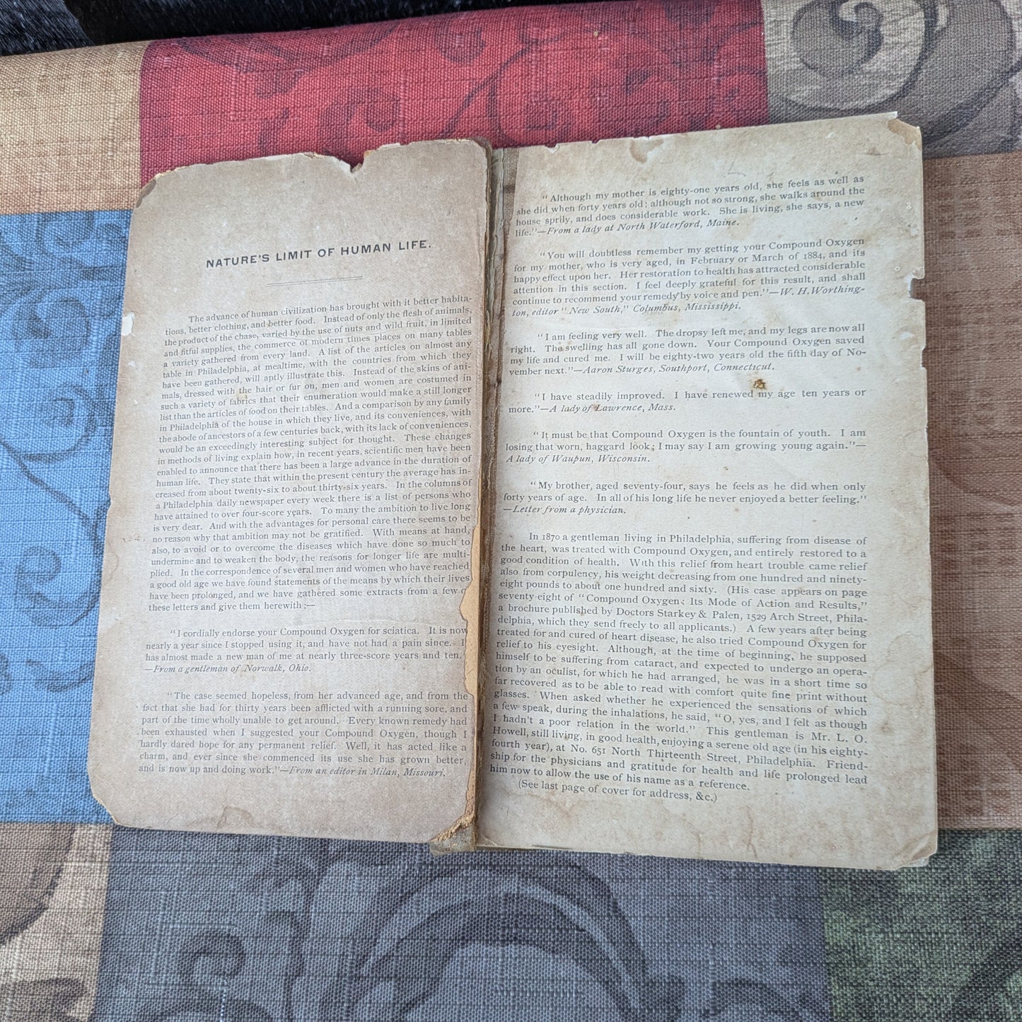 The Nineteenth Century Almanac, 1800-1900, Compliments of Drs. Starkey & Palen