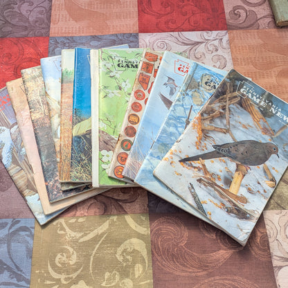 Vintage 1982 Game News Magazines, Full Year Set of 12