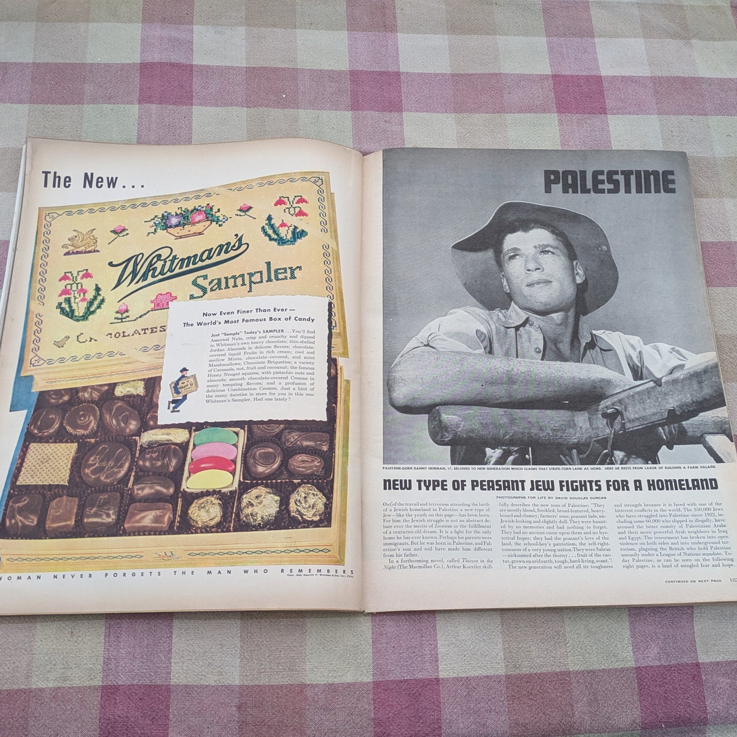 12 Life Magazines October - December 1946