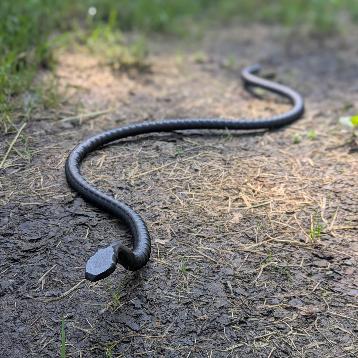 Sneaky Snake Hand Forged Garden Ornament-great for scaring birds away from your garden!