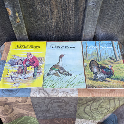 Set of 9 Vintage 1970 Game News Magazines