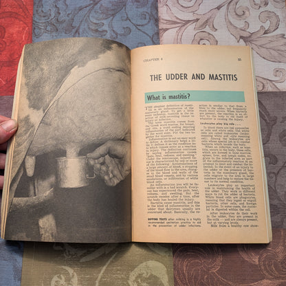Vintage Hoard's Dairyman Herd Health Guides