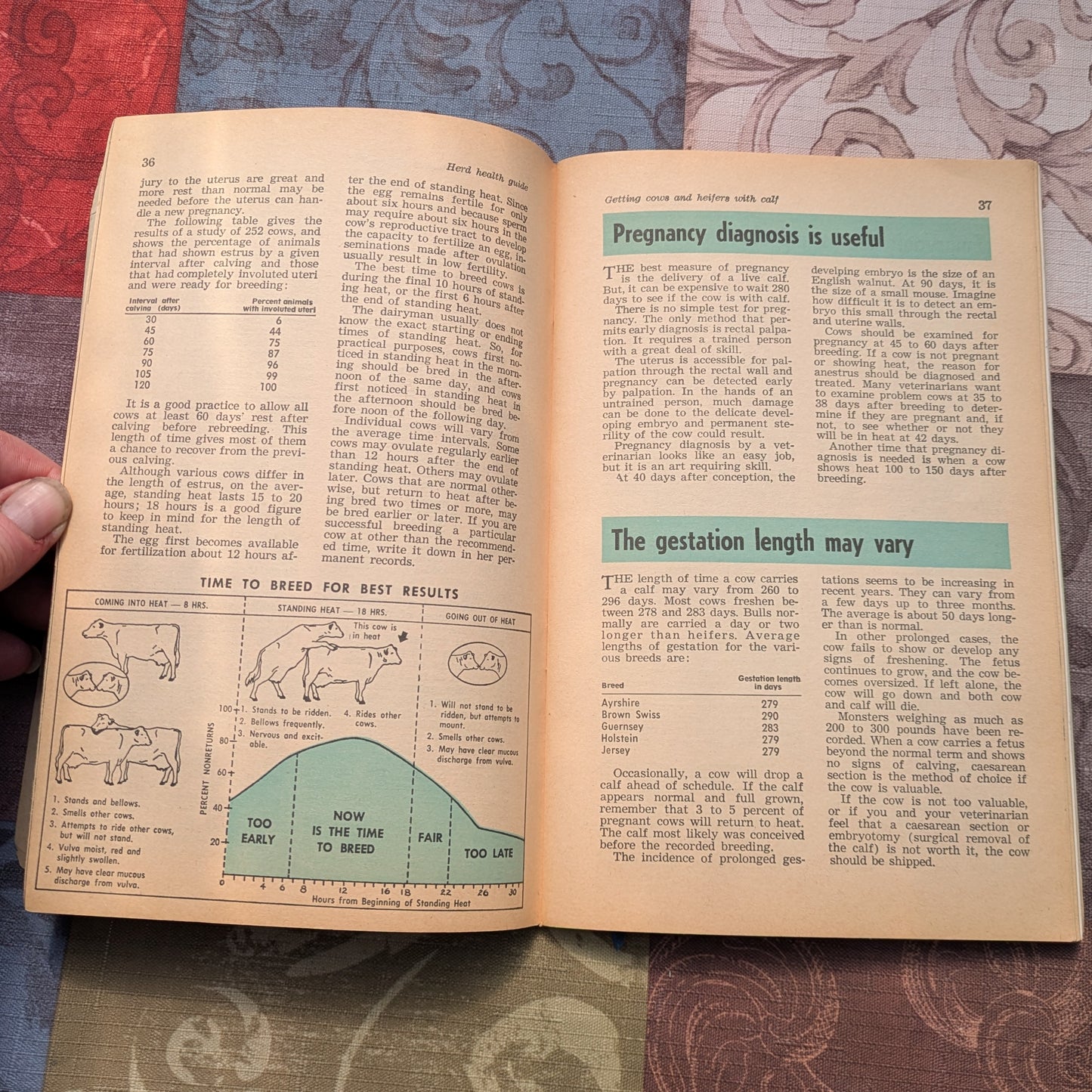 Vintage Hoard's Dairyman Herd Health Guides