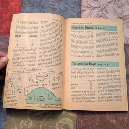 Vintage Hoard's Dairyman Herd Health Guides