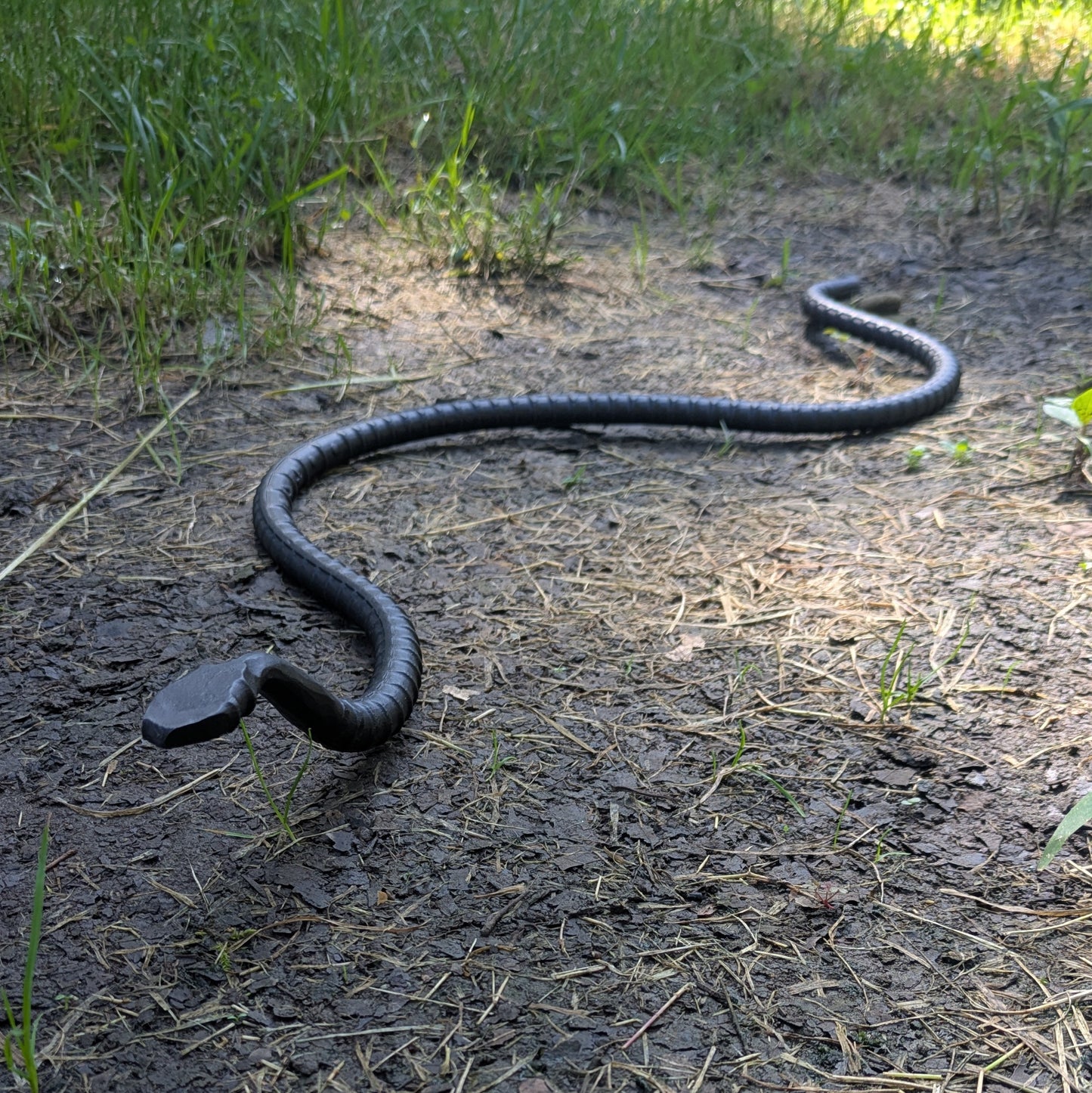 Sneaky Snake Hand Forged Garden Ornament-great for scaring birds away from your garden!