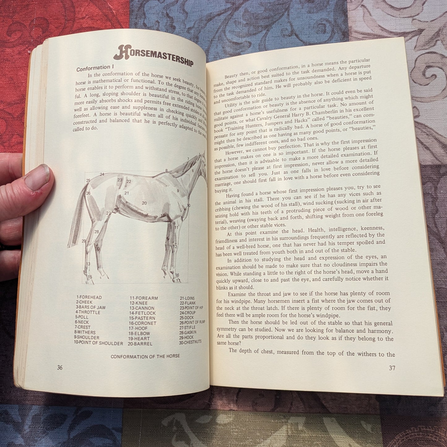 Horseman's Almanac and First Aid Handbook, 1971 Agway Promo