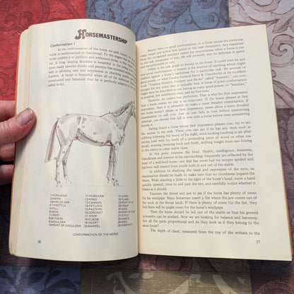 Horseman's Almanac and First Aid Handbook, 1971 Agway Promo