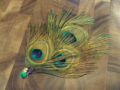 Pretty as a Peacock Feather Hair Clip
